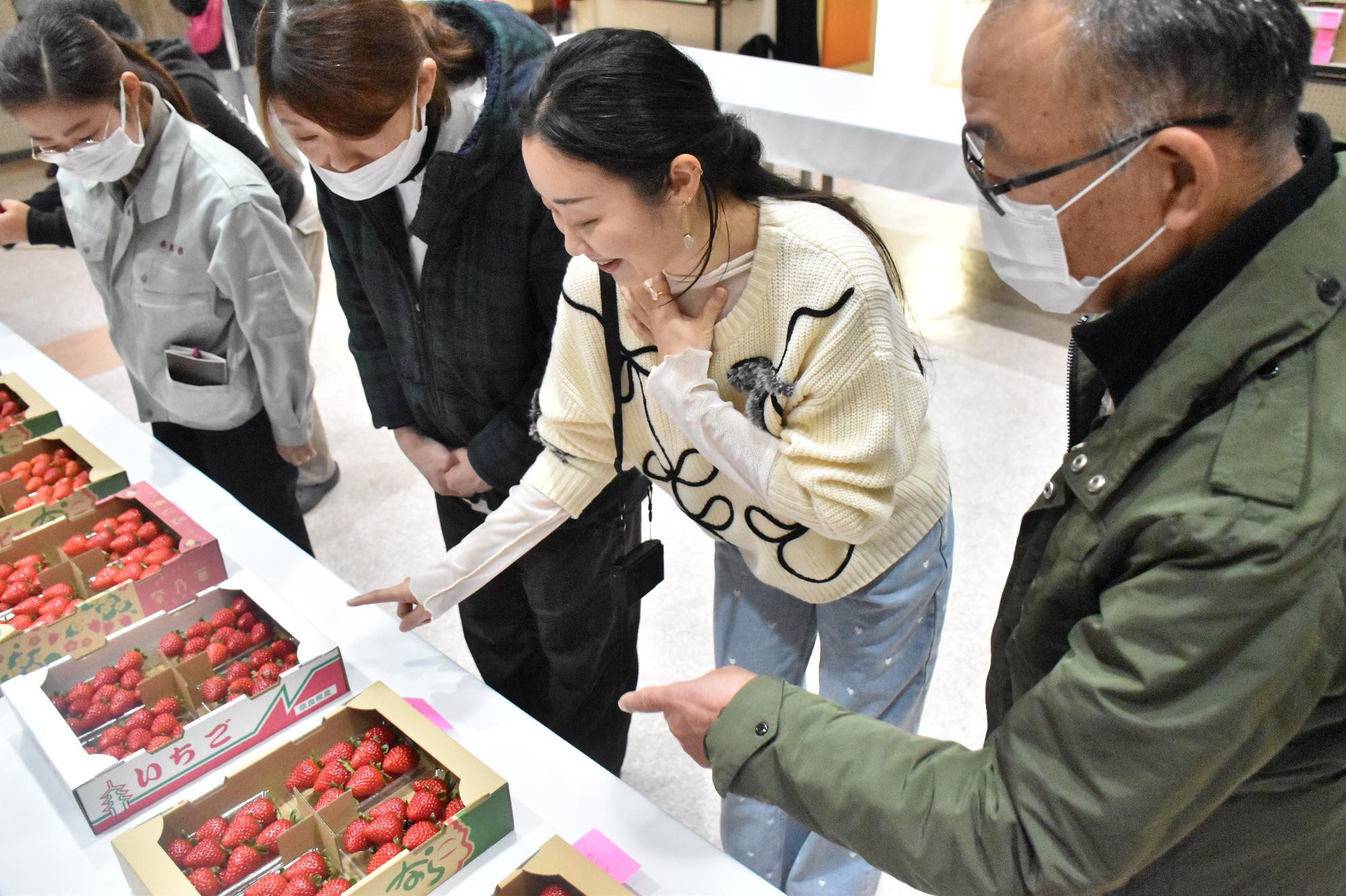 イチゴ果実品評会でイチゴを見比べる審査員